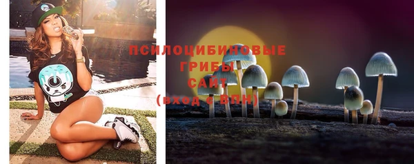 а пвп мука Осташков
