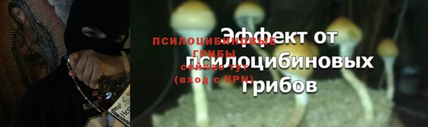 гидра Осинники