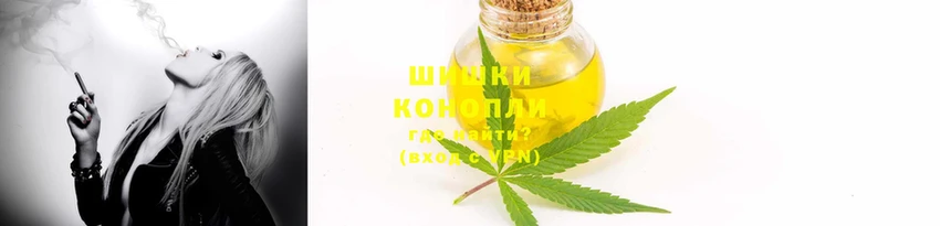 амф Алзамай