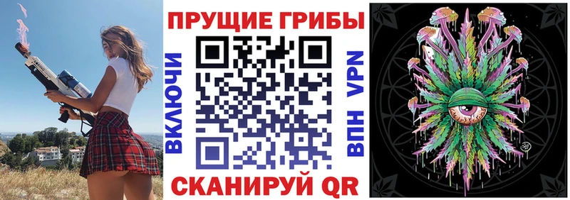 гидра как войти  Фёдоровский  Псилоцибиновые грибы Cubensis  купить закладку 